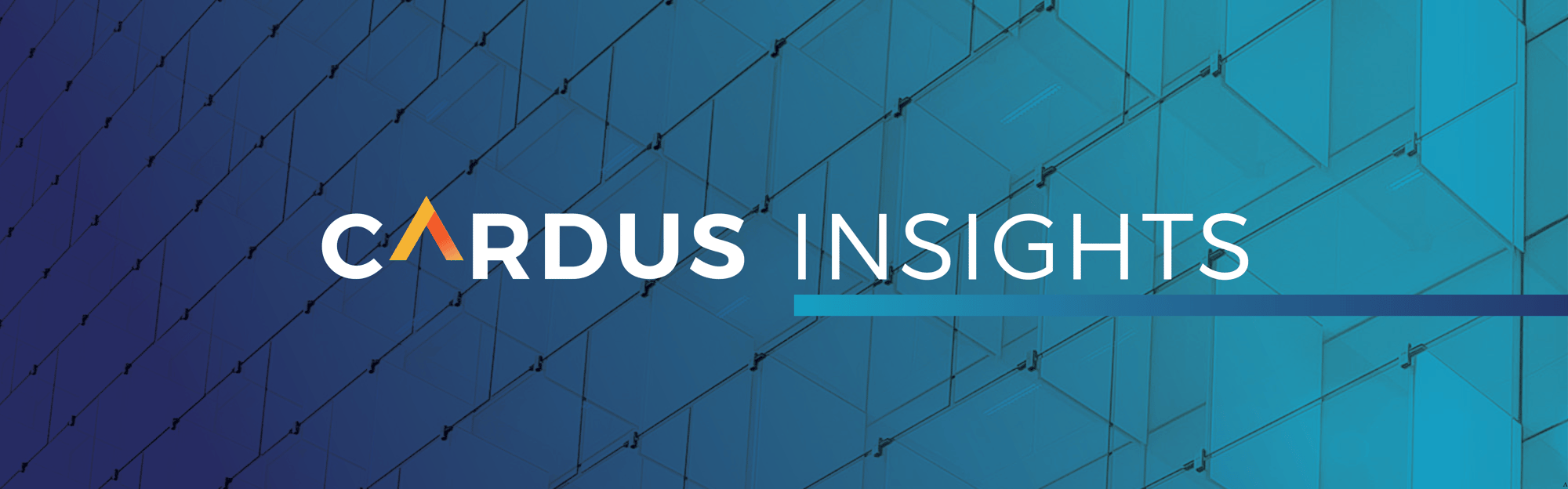 Cardus Insights Archive Banner