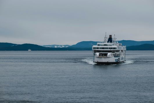 2024-01-20_InsightsToGo_CatDidntComeBack_BCFerries
