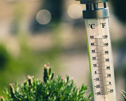 2024-01-27_InsightsToGo_When Fahrenheit Meets Celsius