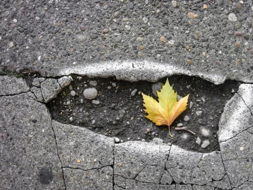 2024-02-10_InsightsToGo_PotholeBlitzDAy