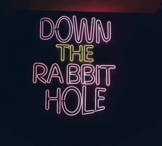2024-07-27_Insights To Go_Down Rabbit Hole