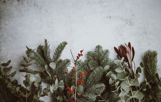 2024-12-14_Insights_ToGo_Holly Days