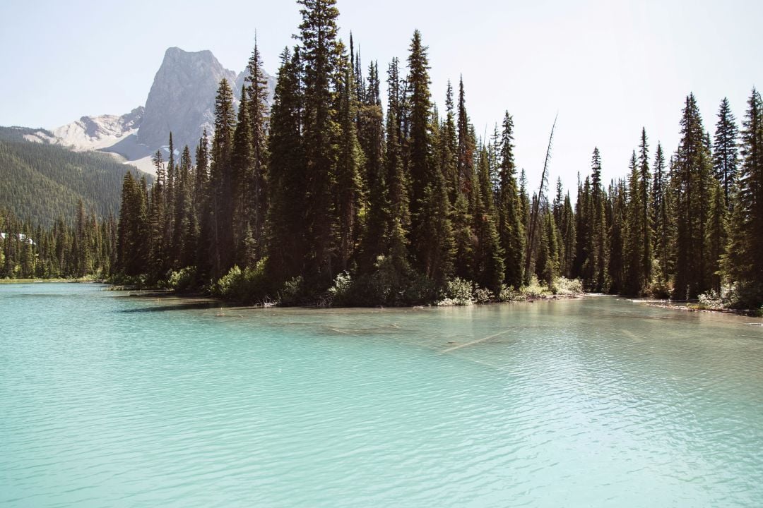 Blue lake with trees and mountains
